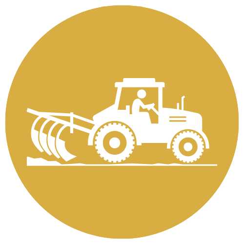 Servicios Mecánicos