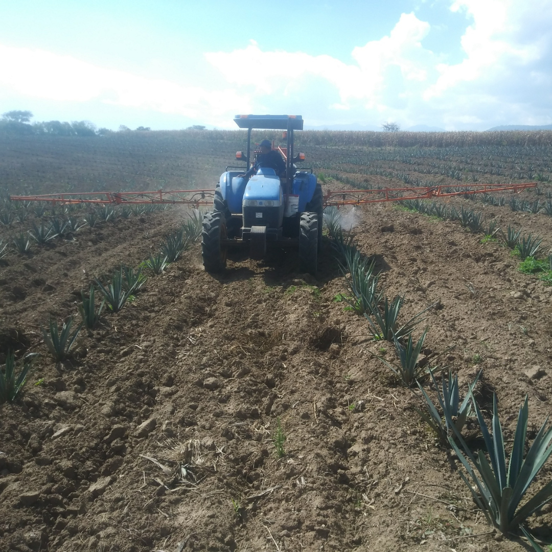 Aplicación de insecticidas